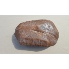 Container, Special, Maro