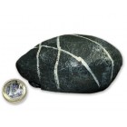 Container, Special, Pebblestone