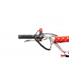 Motoretă, Mini, Cross, Delta, Benzină, 49cc, 2 Timpi, Rosu